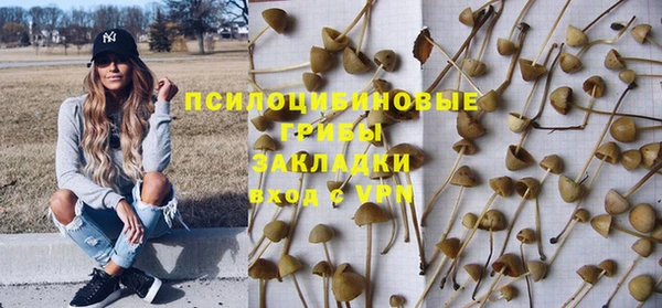 apvp Володарск