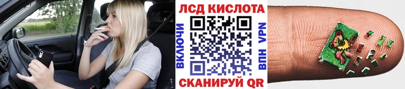 закладка  Отрадное  Наркотические марки 1500мкг 
