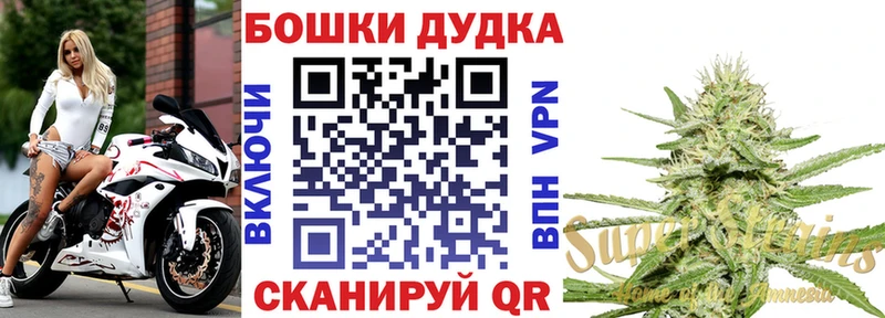 Конопля план  где можно купить наркотик  Отрадное 